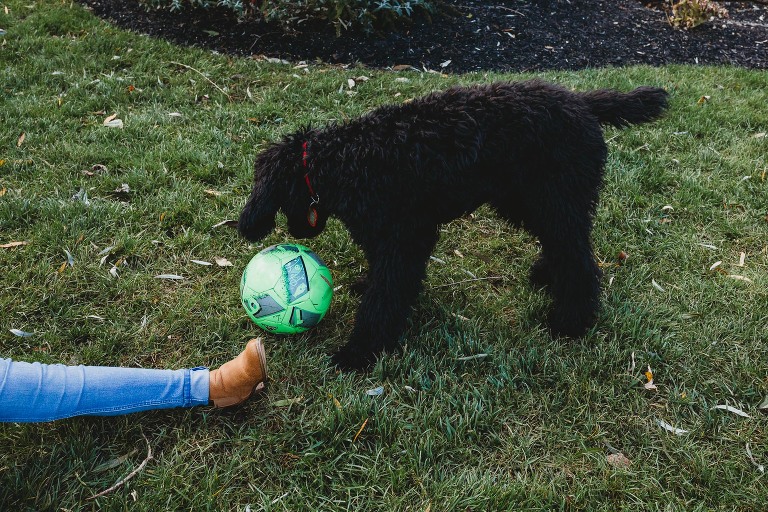 girl playing soccer with her puppy