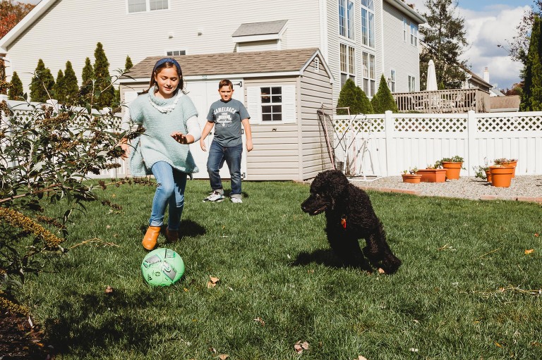 kids playing with puppy