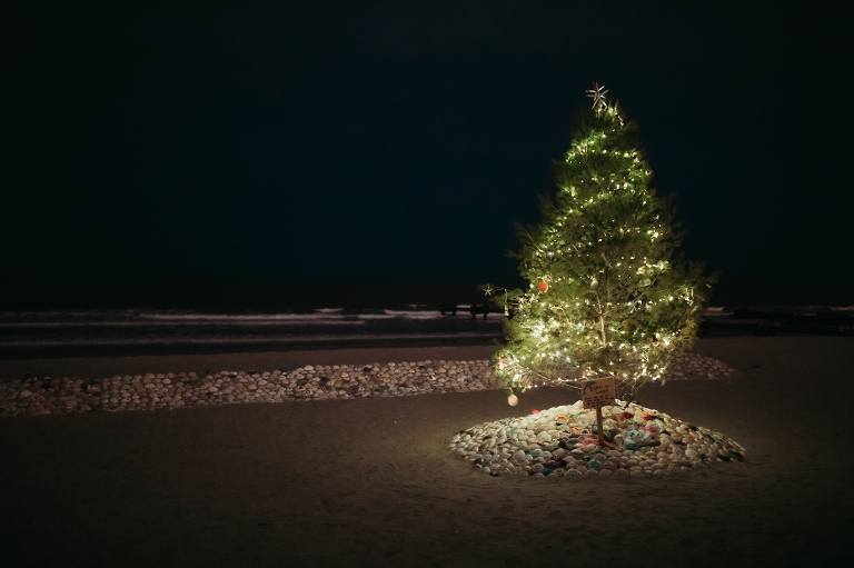 North street Christmas tree at night OCNJ