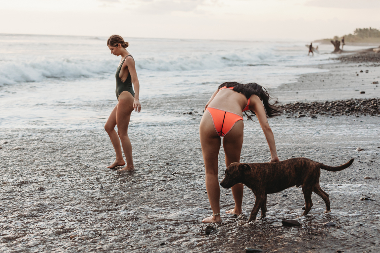 dogs and surfers on the beach in Playa Dominical Costa Rica