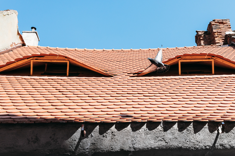 eyes of Sibiu, Romania Saxon history